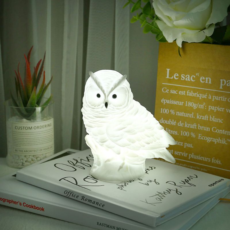 Veilleuse de chevet en silicone et forme de hibou. Bonne qualité et à la mode au-dessus des livres et à côté d'un vase dans une maison